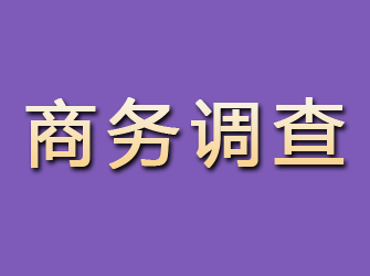 禅城商务调查